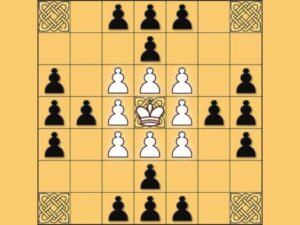 Read more about the article Tafl: viking chess